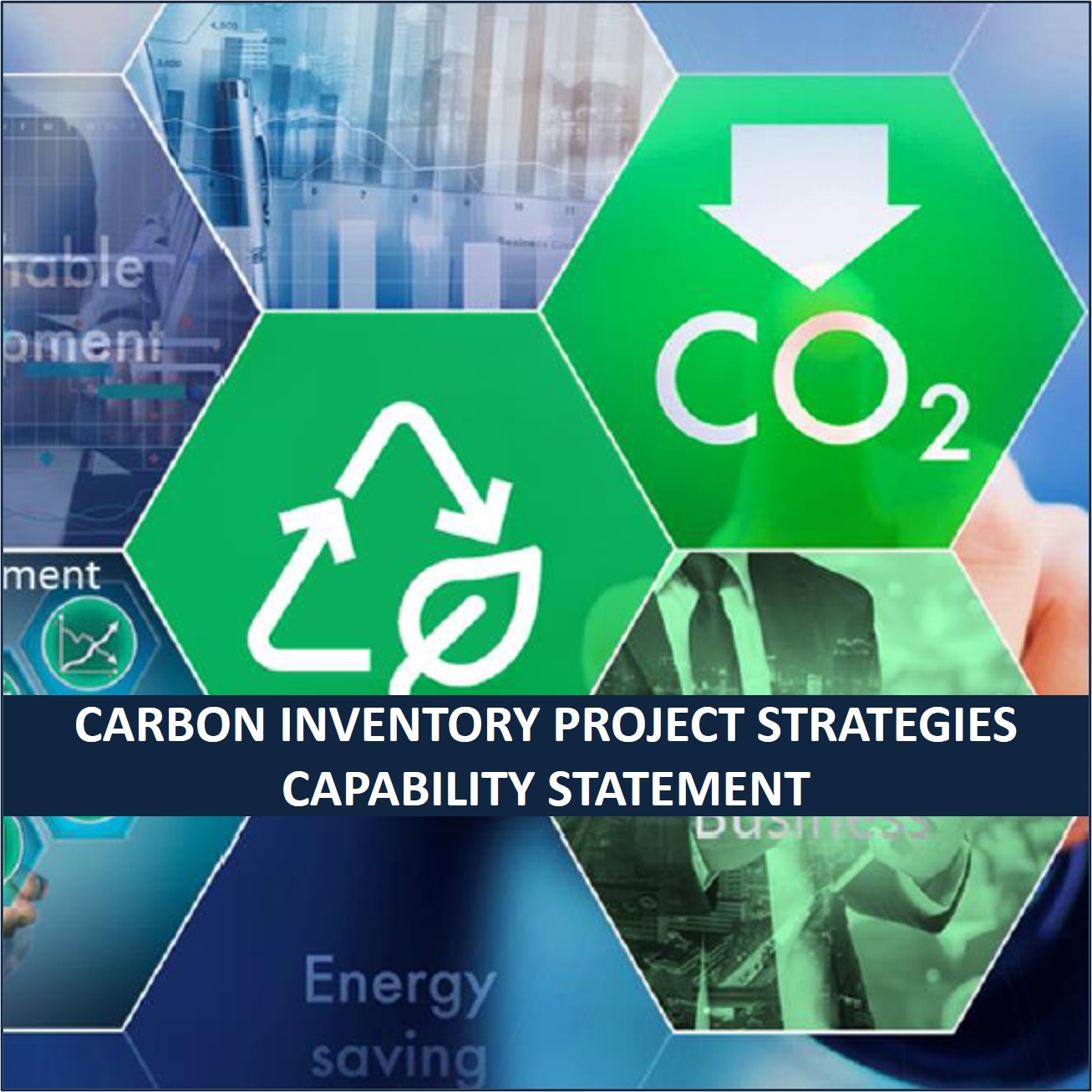 Download Siecap Carbon Auditing Project Strategies Capability Statement